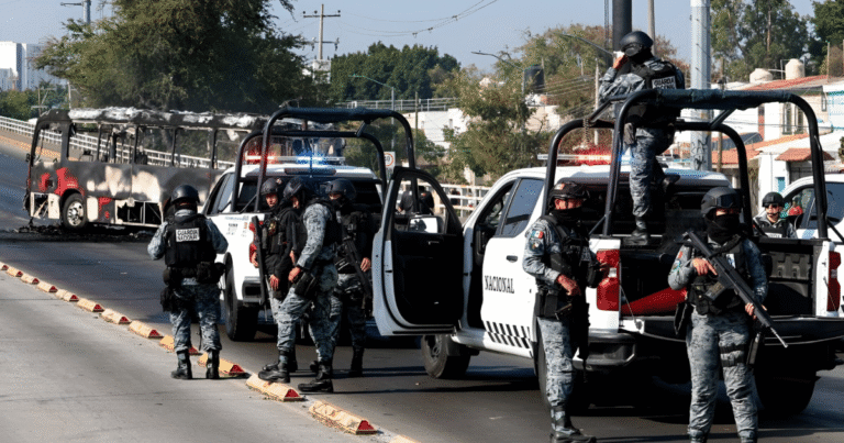 Golpe frontal a la delincuencia