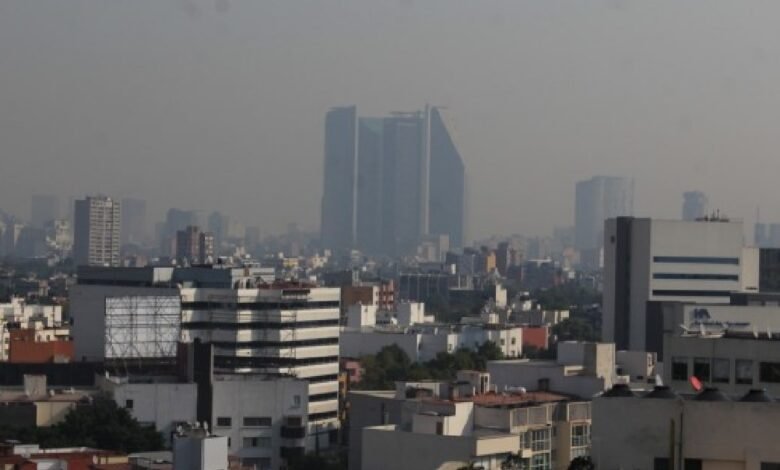 Padecerá México más calor que el resto del mundo (Foto de Secretaría del Medio Ambiente CDMX)