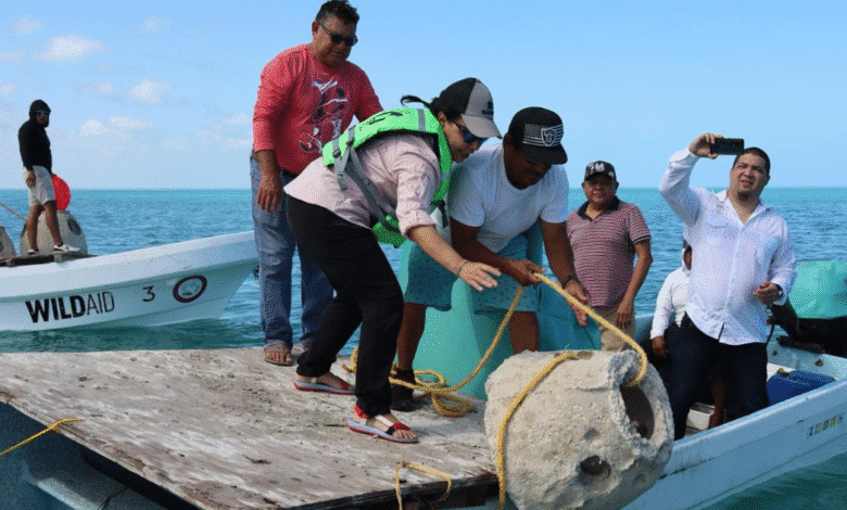 inicia formación del primer arrecife artificial en río lagartos