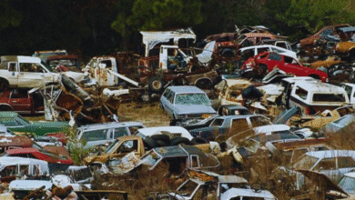 más de 100 autos abandonados han sido retirados de las calles de mérida