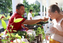 más de 300 productores regresan al mercado renacer en la plancha