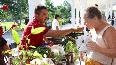 más de 300 productores regresan al mercado renacer en la plancha