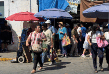 mercados de mérida se alistan para repunte por semana santa