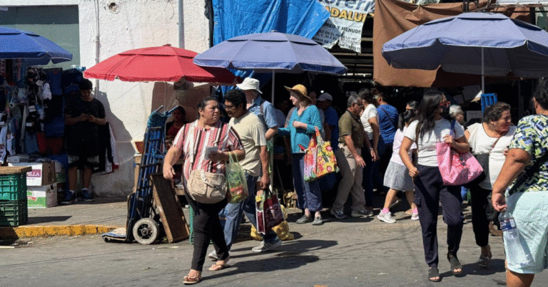 mercados de mérida se alistan para repunte por semana santa