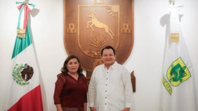 nombran a mirna manzanilla al frente de secihti