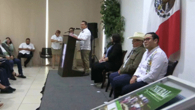 presentan nueva edición de la revista tsikbal en el congreso