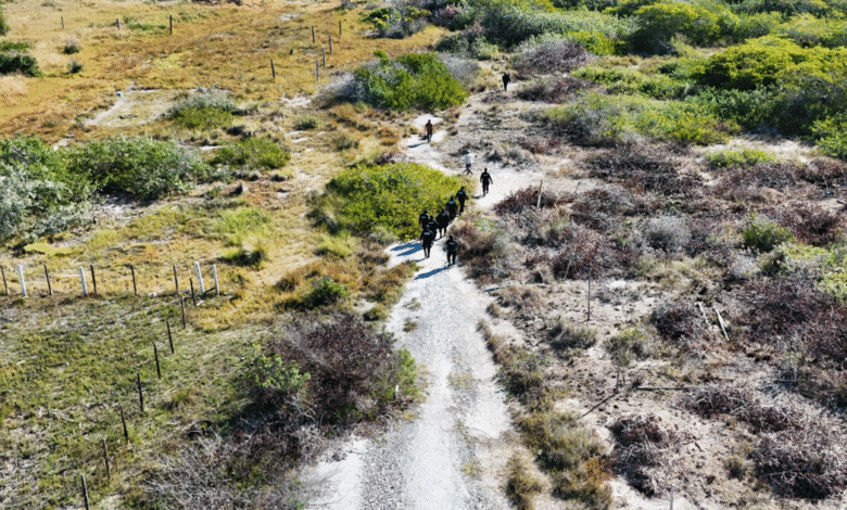 profepa frena desmonte de manglar en chelem