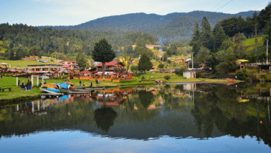 Ubicada entre la Ciudad de México y Toluca, La Marquesa se consolida como una de las opciones turísticas más accesibles para quienes buscan naturaleza, aventura y tradición culinaria en un solo lugar.