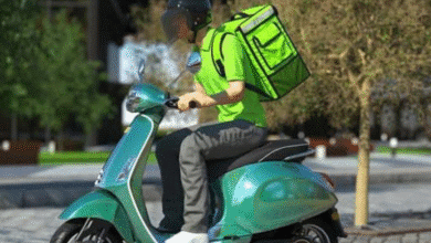 radiografía del empleo en yucatán sectores que contratan y cuánto están pagando