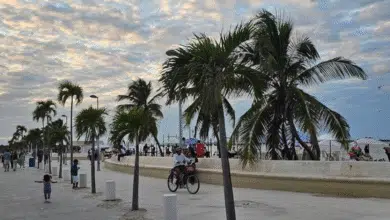 seguridad y orden, prioridad en el malecón de progreso