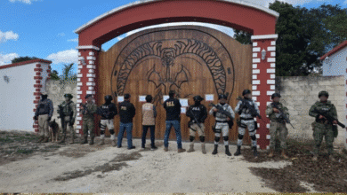 ssp realiza cateos en predios de buctzotz y tizimín