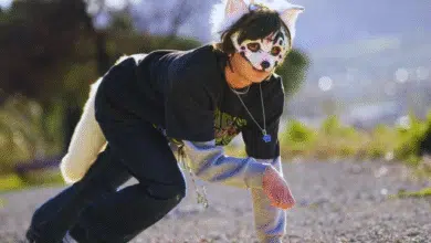 therians especialistas llaman a comprender el fenómeno sin estigmatizar