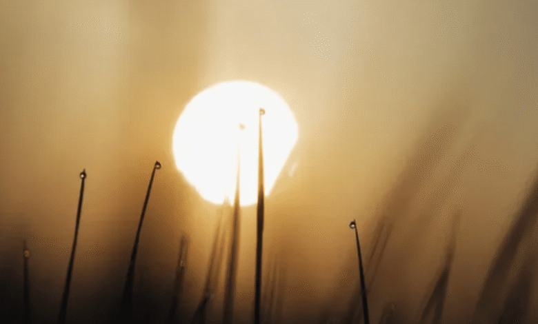 Clima hoy: comienzan a llegar las altas temperaturas a estos estados (Foto de internet)