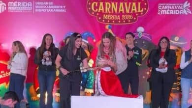 Coronan a Reyes Caninos del Carnaval de Mérida 2026; cerrarán con esterilización masiva