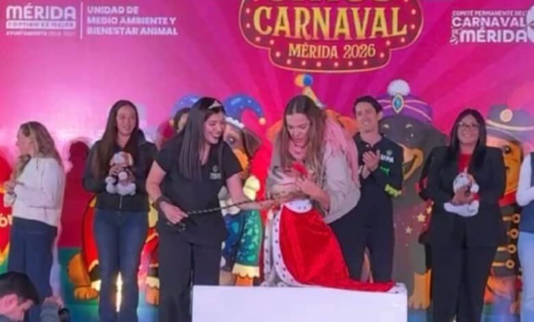 Coronan a Reyes Caninos del Carnaval de Mérida 2026; cerrarán con esterilización masiva
