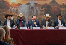 yucatán será sede del congreso mundial brahman 2026; prevén derrama de hasta 100 mdp