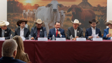 yucatán será sede del congreso mundial brahman 2026; prevén derrama de hasta 100 mdp