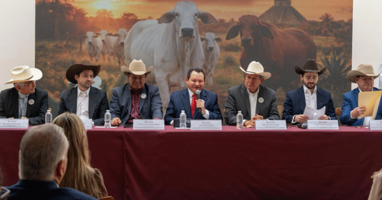 yucatán será sede del congreso mundial brahman 2026; prevén derrama de hasta 100 mdp