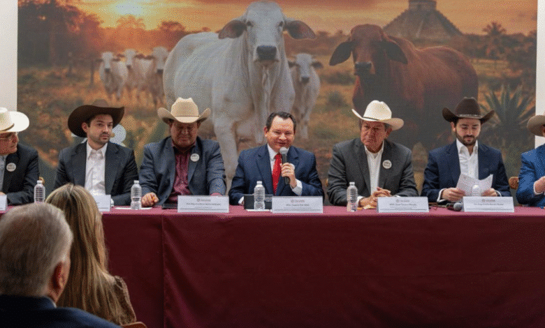 yucatán será sede del congreso mundial brahman 2026; prevén derrama de hasta 100 mdp