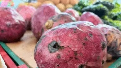 anona fruta exótica que está en temporada