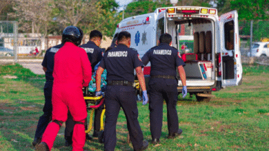 aumentan mordeduras de serpientes en yucatán tres casos graves en tres días movilizan servicios de emergencia