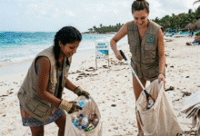 basura semana santa yucatán playas generan hasta 300 toneladas diarias