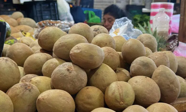 chicozapote en yucatán fruto tradicional, sabor dulce y herencia maya