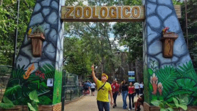 conoce los horarios del zoológico centenario y animaya en semana santa en mérida