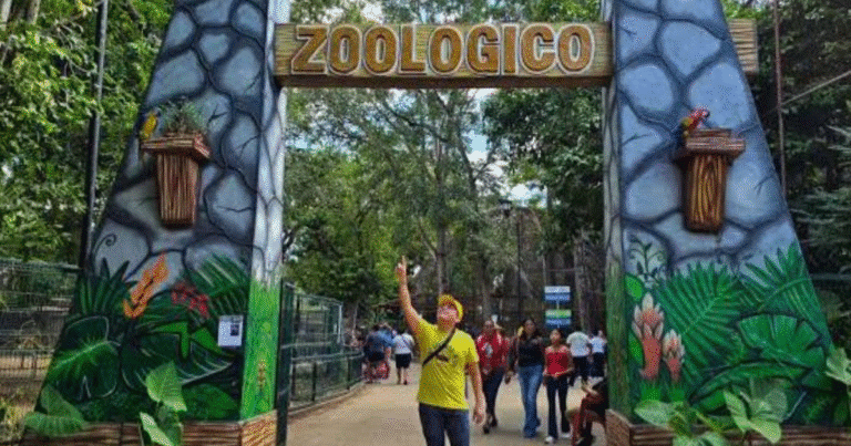 conoce los horarios del zoológico centenario y animaya en semana santa en mérida