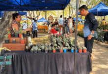 corredor botánico llegará con bazar de plantas a paseo de montejo y el centenario este domingo en mérida