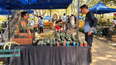 corredor botánico llegará con bazar de plantas a paseo de montejo y el centenario este domingo en mérida