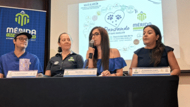 ”danzando por una huellita” presentará su segunda edición en mérida en apoyo a animales