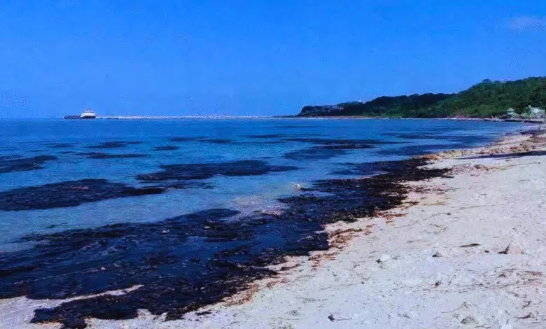 derrame de petróleo no afecta a yucatán, pero mantienen vigilancia en costas