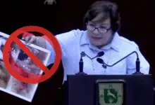 diputada del pan usa imágenes falsas en el congreso de yucatán