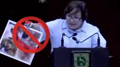 diputada del pan usa imágenes falsas en el congreso de yucatán