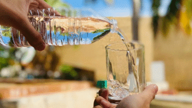 enfermedades renales imss yucatán emite recomendaciones para cuidar los riñones