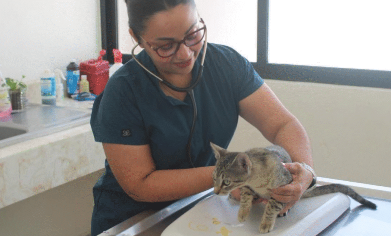 esterimóvil en mérida fechas, sedes y servicios gratuitos para mascotas durante marzo