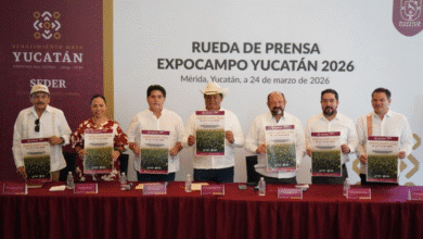 expo campo yucatán 2026 regresa con más de 200 expositores
