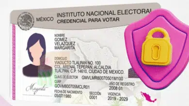 INE plantea nueva credencial para votar con identidad de género y autoidentificación indígena