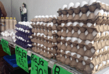 kanasín registra alza del 70% en venta de huevo durante la cuaresma