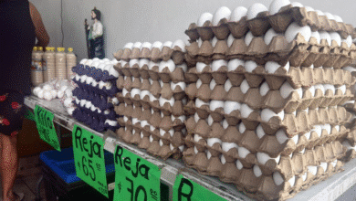 kanasín registra alza del 70% en venta de huevo durante la cuaresma