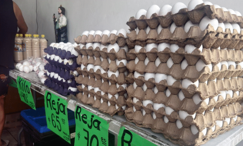 kanasín registra alza del 70% en venta de huevo durante la cuaresma