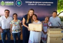 lanzan convocatoria “red por el comercio justo” para apoyar a productores de mérida
