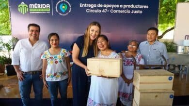 lanzan convocatoria “red por el comercio justo” para apoyar a productores de mérida