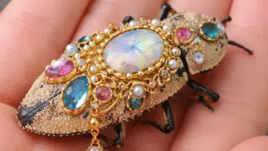 makech, símbolo artesanal de yucatán que fusionó naturaleza y tradición