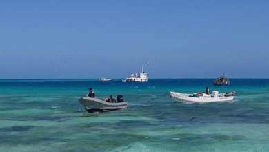 marina asegura embarcación con producto en veda, en inmediaciones de isla pérez, yucatán