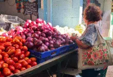 maya wellness weekend yucatán 2026 cierre exitoso del festival de turismo wellness