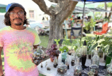 Terrarios de botella en Mérida: ¿cuántos meses pueden durar sin agua?