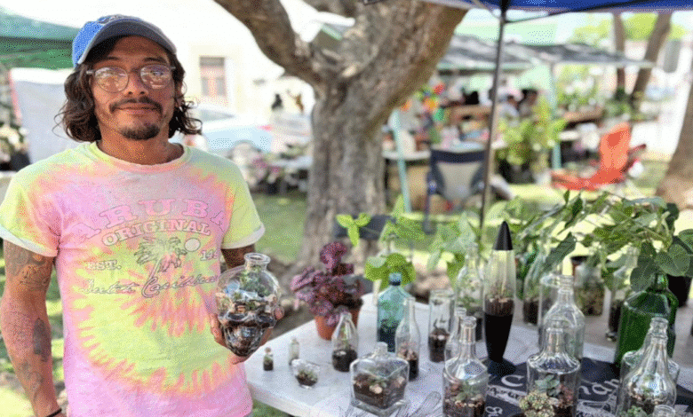Terrarios de botella en Mérida: ¿cuántos meses pueden durar sin agua?