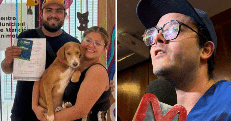 microchips para mascotas adoptadas mérida impulsa identificación única para perros y gatos